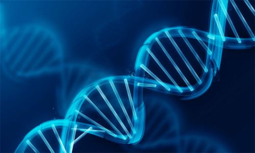 تشخیص قبل از تولد بیماریهای ژنتیک