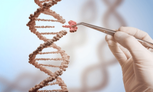 نتیجه آزمایش ژنتیک برای جهش ژنتیکی و ریسک ابتلا به سرطان 